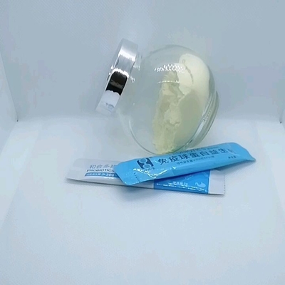 OEM 200억 유산균, 비피도박테리아, 프로바이오틱스, 음식물 소화, 건강 보조 식품 분말
