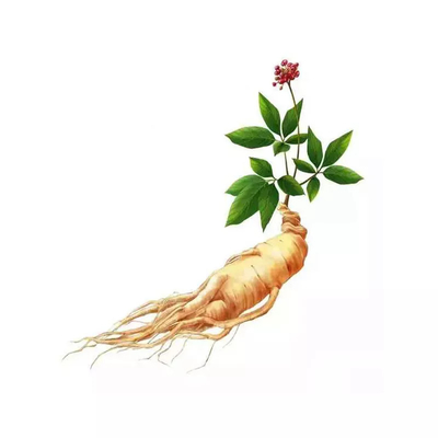남자 건강 관리를 위한 공장 공급자 태국 검은 생강 분말 OEM 캡슐 및 정제