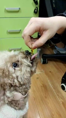 개와 고양이들 오메가 3을 위한 OEM 애완동물 건강 영양 보충제 생선 기름