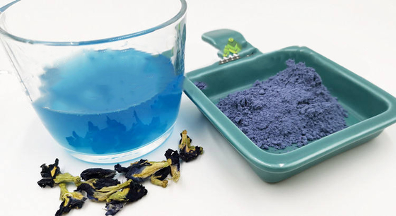 풀 자연적 말린 청띠신선나비 Pea 꽃차 OEM